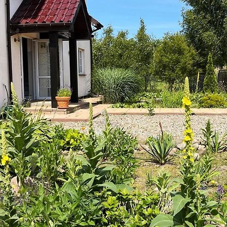 Pokoje Goscinne Neptunia Rusinowo  Bagian luar foto