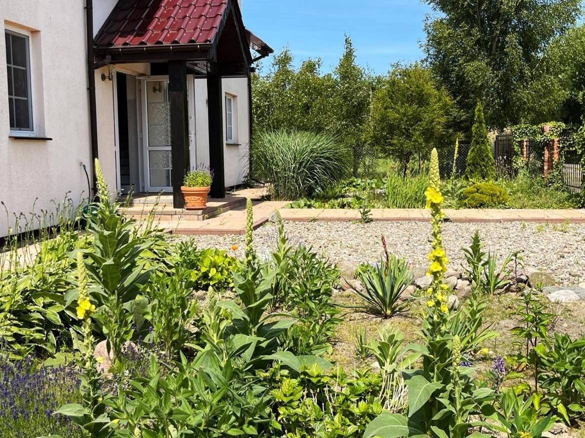Pokoje Goscinne Neptunia Rusinowo  Bagian luar foto